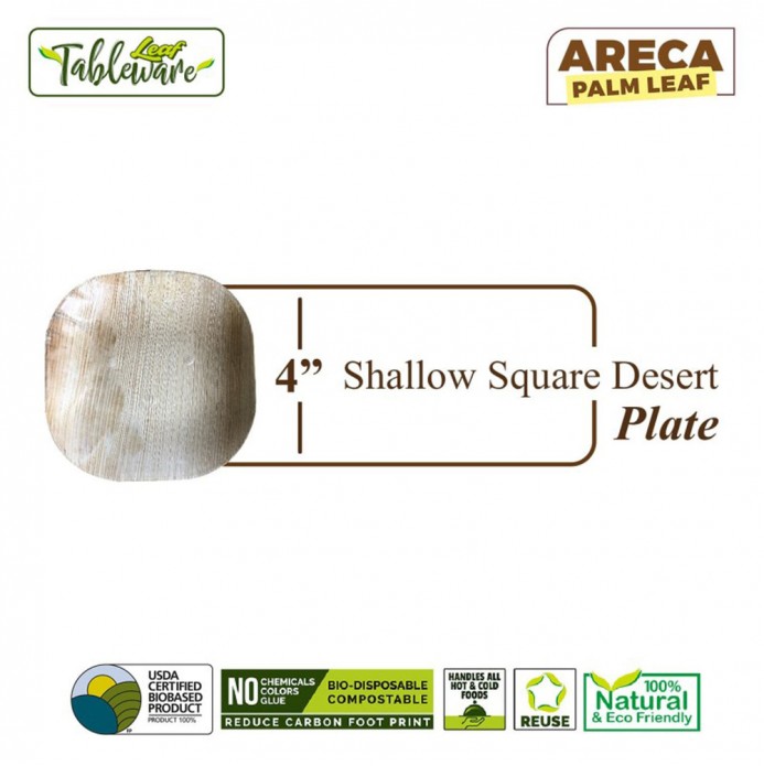 4" Shallow Square Desert Plate